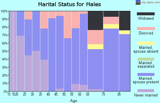 Zip code 73759 marital status for males