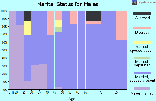 Zip code 73768 marital status for males