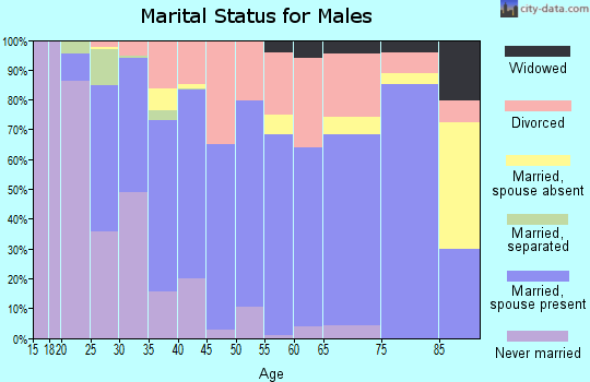 Zip code 73801 marital status for males