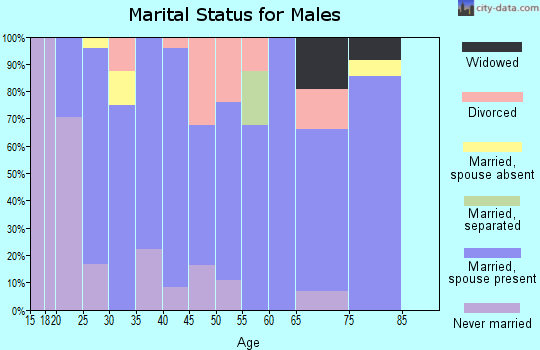 Zip code 73832 marital status for males