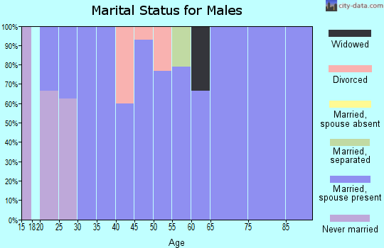 Zip code 73838 marital status for males