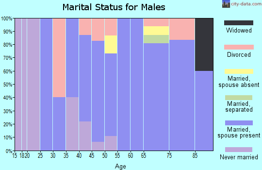 Zip code 73840 marital status for males
