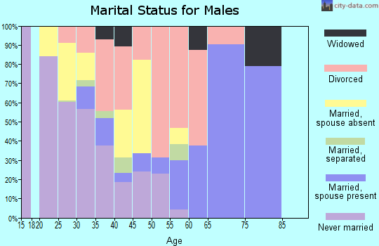 Zip code 73841 marital status for males