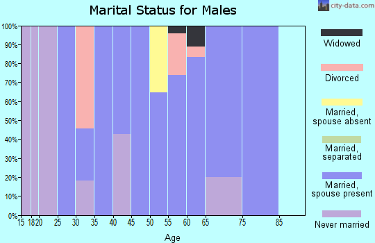 Zip code 73842 marital status for males