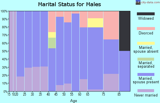 Zip code 73843 marital status for males