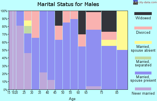 Zip code 73848 marital status for males