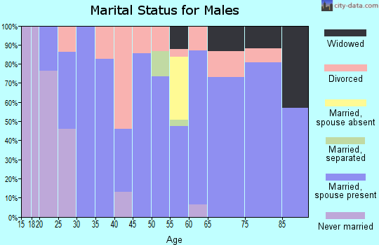 Zip code 73852 marital status for males