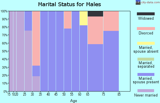 Zip code 73857 marital status for males