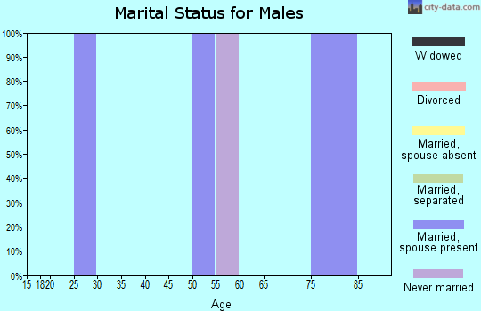 Zip code 73901 marital status for males
