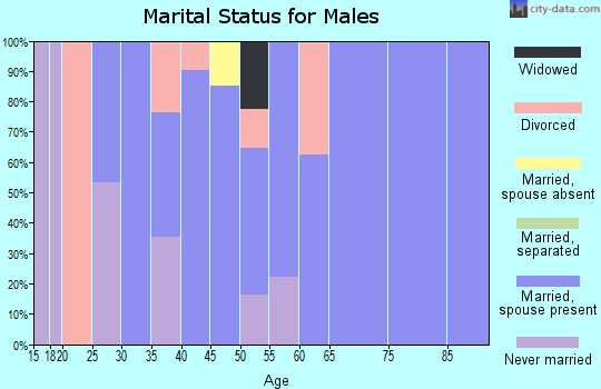 Zip code 73938 marital status for males