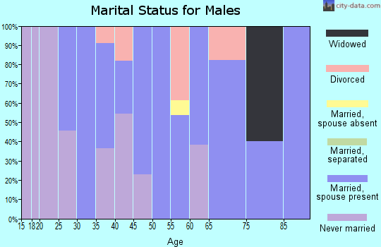 Zip code 73944 marital status for males