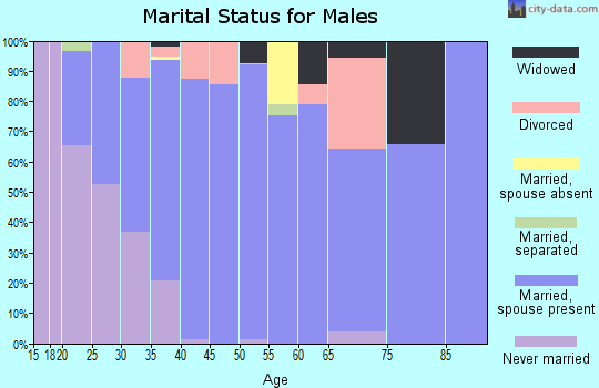 Zip code 74080 marital status for males