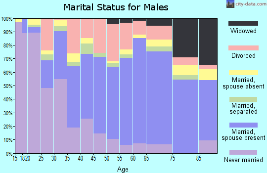 Zip code 74301 marital status for males