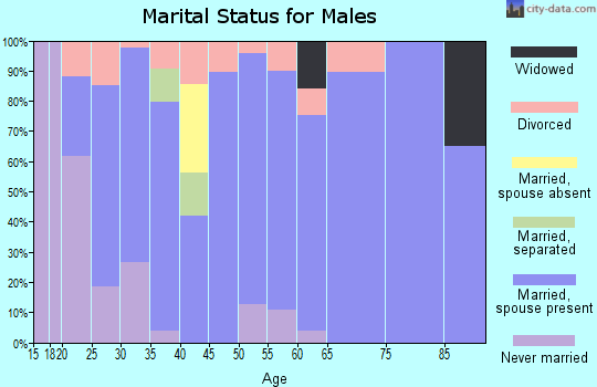 Zip code 74330 marital status for males