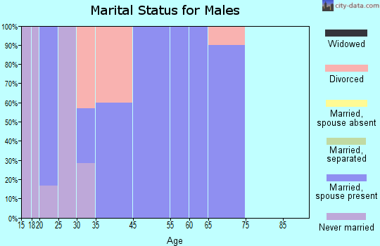Zip code 74335 marital status for males