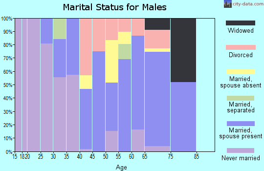 Zip code 74342 marital status for males