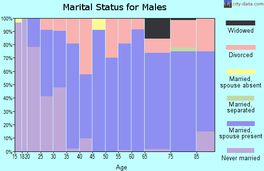 Zip code 74343 marital status for males