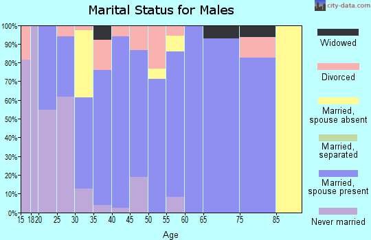 Zip code 74347 marital status for males