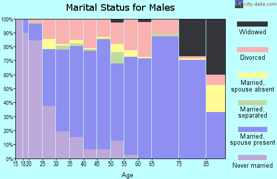 Zip code 74361 marital status for males