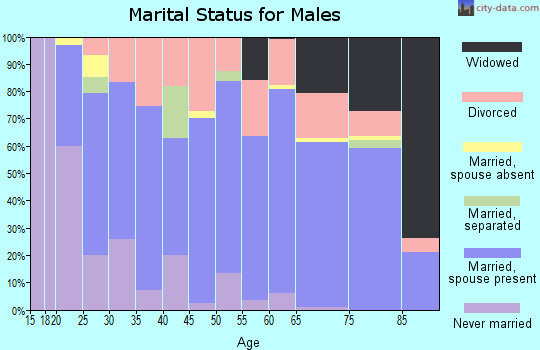 Zip code 74365 marital status for males