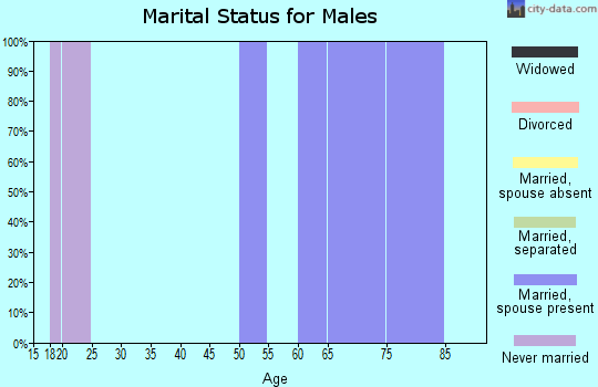 Zip code 74368 marital status for males