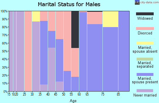 Zip code 74425 marital status for males