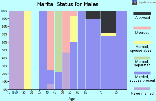 Zip code 74427 marital status for males