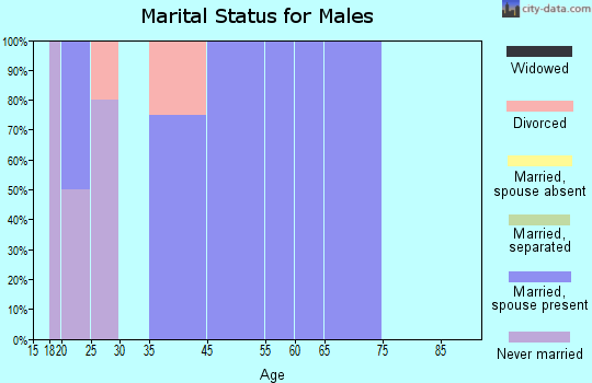 Zip code 74440 marital status for males