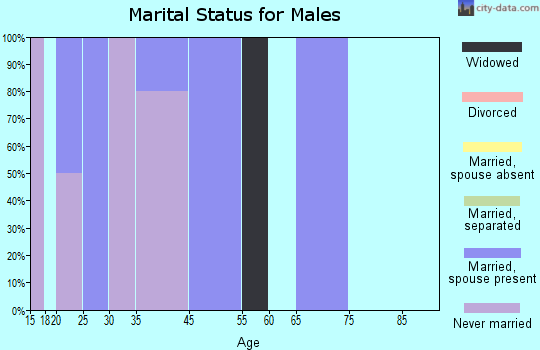Zip code 74444 marital status for males