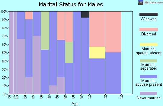 Zip code 74446 marital status for males