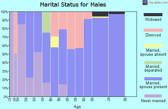 Zip code 74451 marital status for males