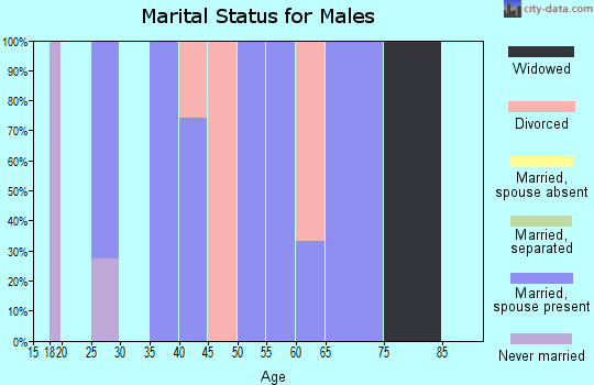 Zip code 74452 marital status for males