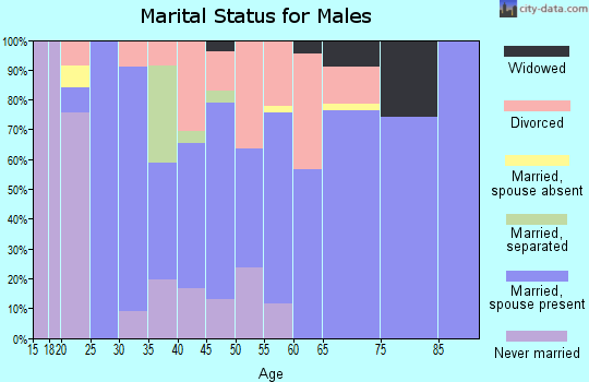 Zip code 74455 marital status for males