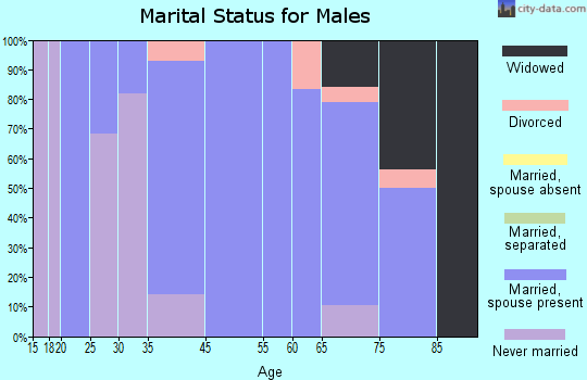 Zip code 74461 marital status for males