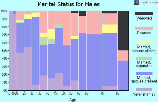 Zip code 74462 marital status for males