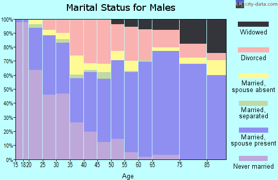 Zip code 74501 marital status for males
