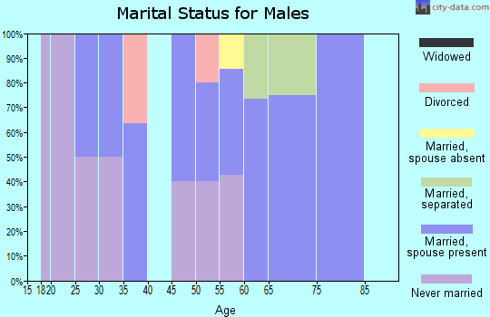 Zip code 74521 marital status for males