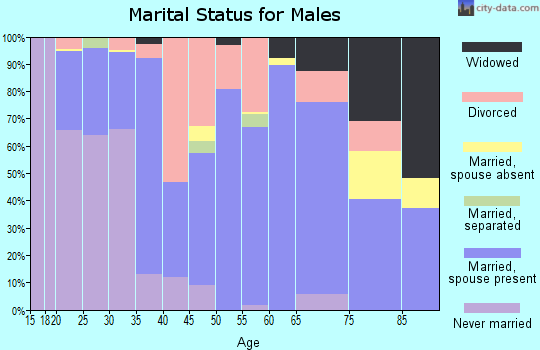 Zip code 74538 marital status for males