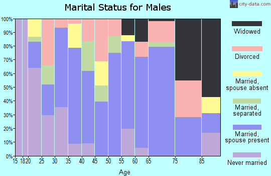 Zip code 74547 marital status for males