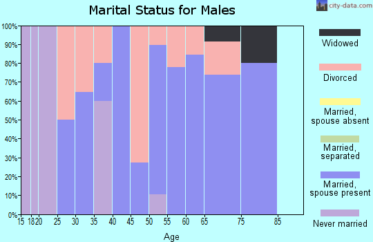 Zip code 74556 marital status for males
