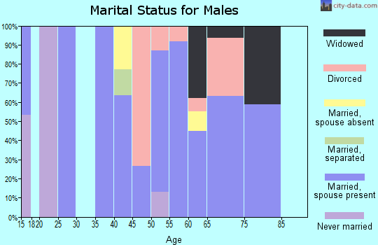 Zip code 74557 marital status for males