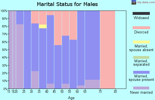 Zip code 74560 marital status for males