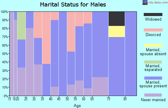 Zip code 74565 marital status for males