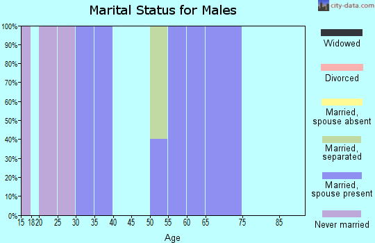 Zip code 74576 marital status for males