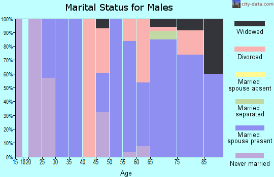 Zip code 74632 marital status for males