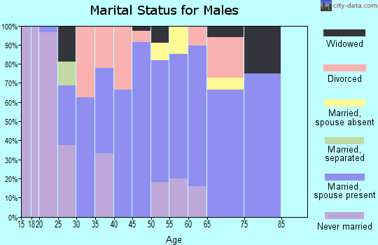 Zip code 74720 marital status for males