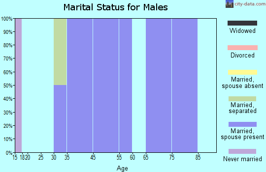 Zip code 74721 marital status for males