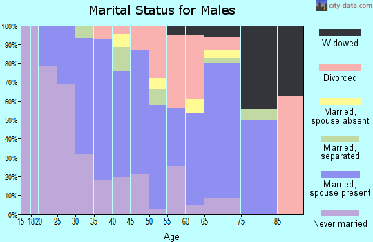 Zip code 74727 marital status for males