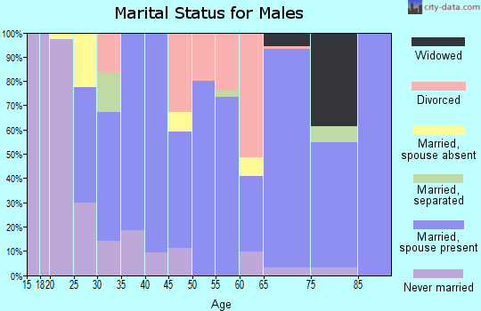 Zip code 74733 marital status for males