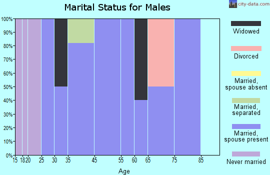 Zip code 74737 marital status for males